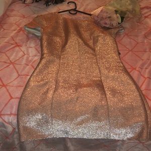 Brand New Rose Gold Express Mini Dress